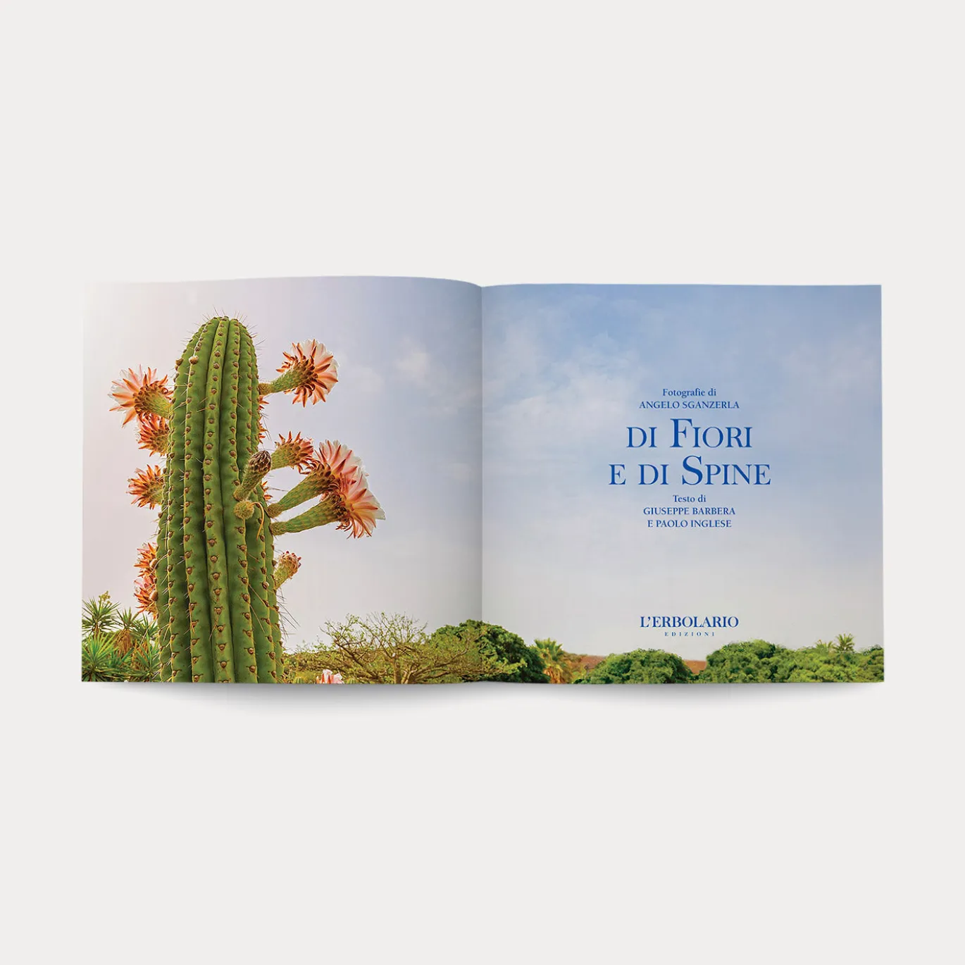Libro Di Fiori e di Spine