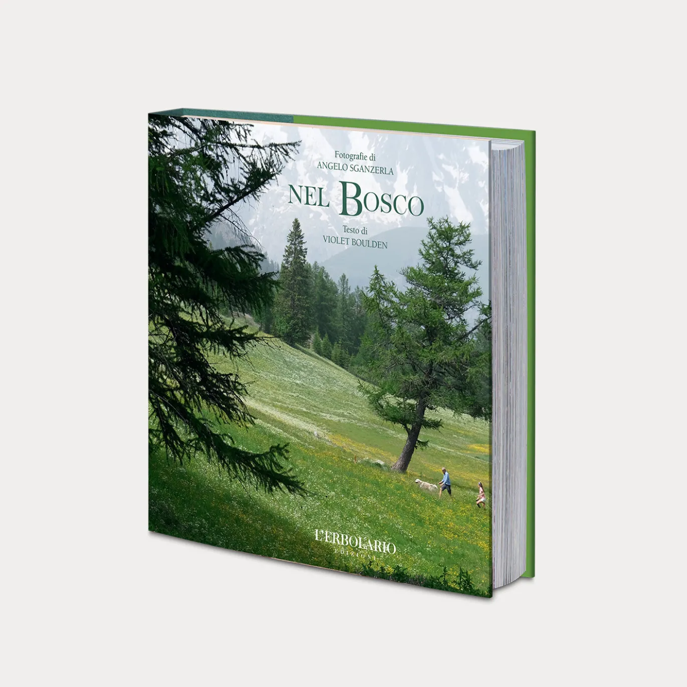 Libro Nel Bosco