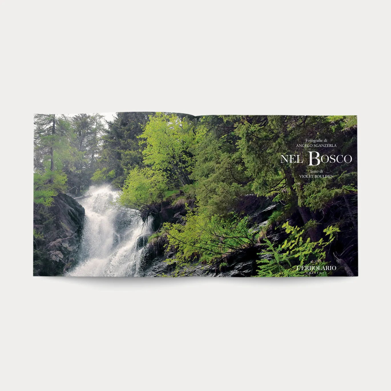 Libro Nel Bosco