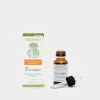 Olio Essenziale Biologico di Eucalipto
